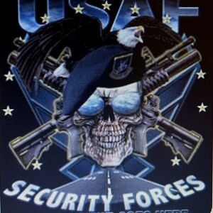 301 SFS